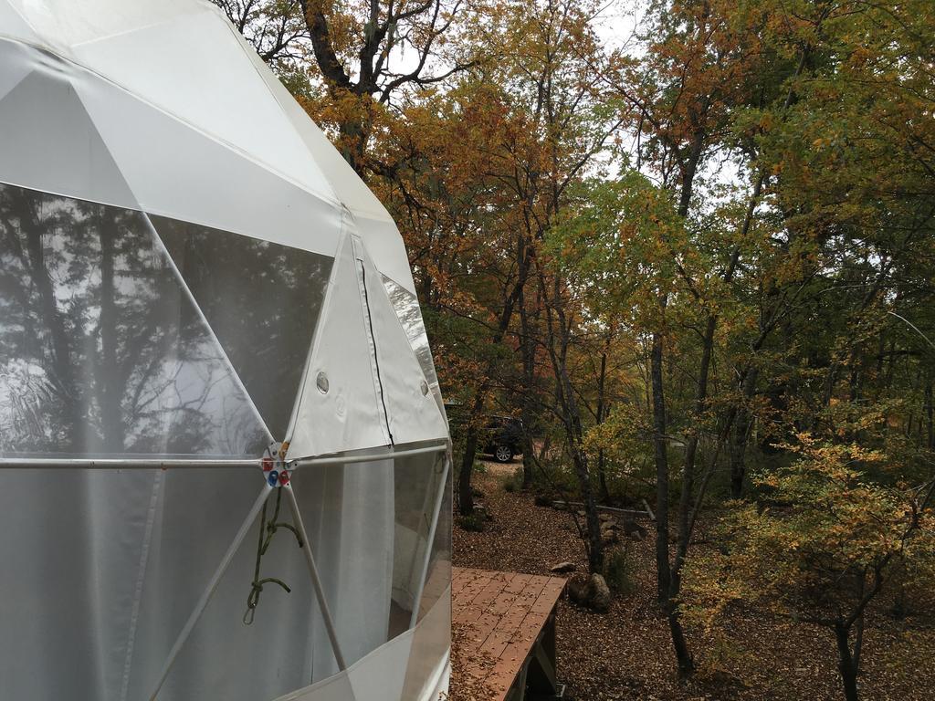 Hôtel Glamping Domos Treepod à Las Trancas Extérieur photo