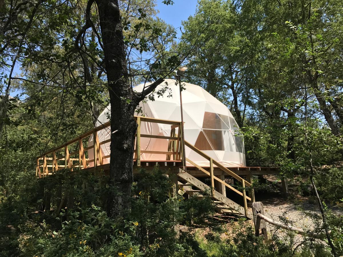 Hôtel Glamping Domos Treepod à Las Trancas Extérieur photo