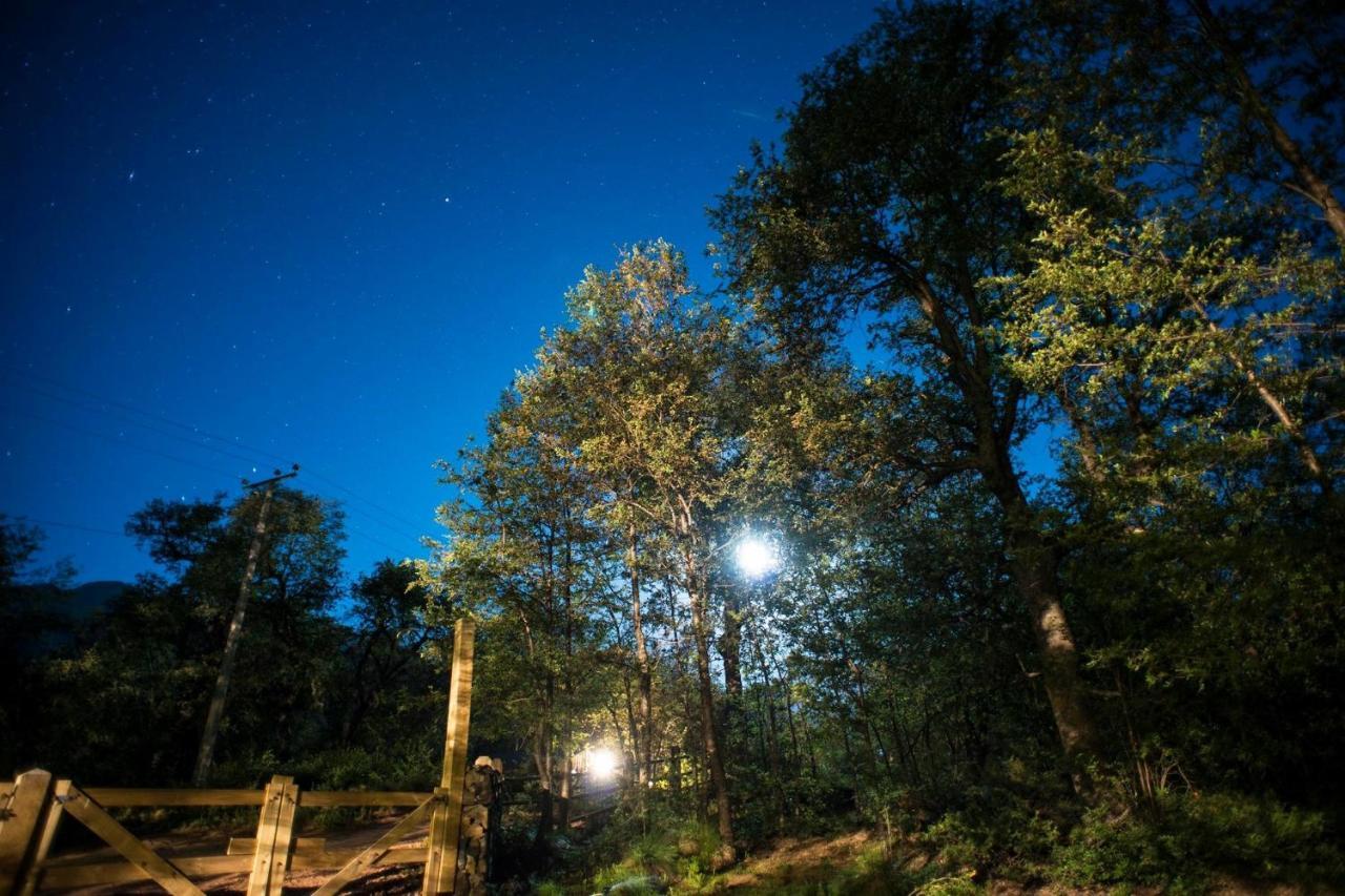 Hôtel Glamping Domos Treepod à Las Trancas Extérieur photo