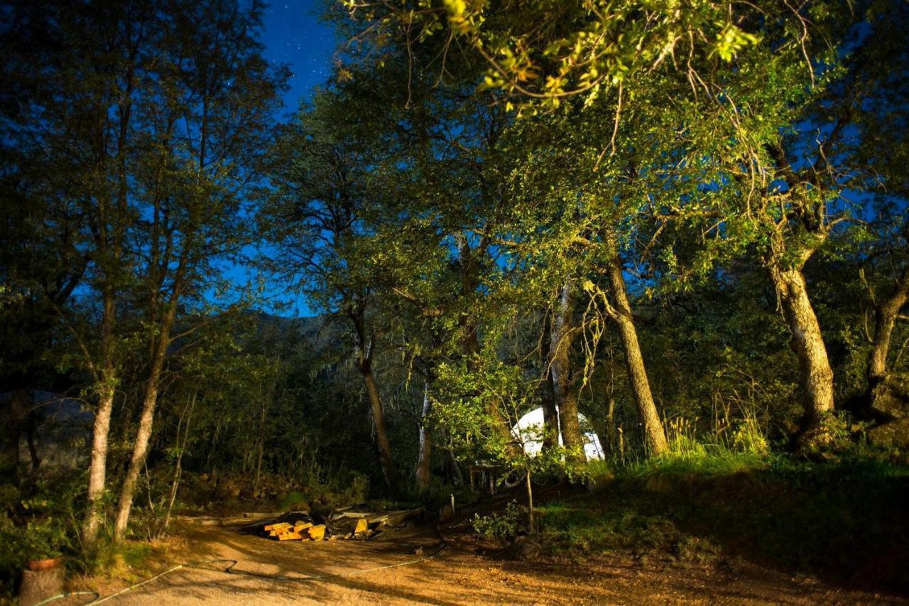 Hôtel Glamping Domos Treepod à Las Trancas Extérieur photo